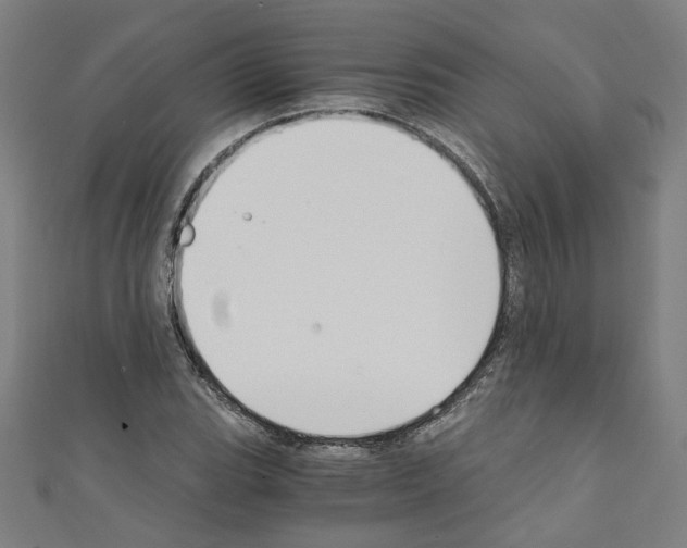 X0000110321119200907021156