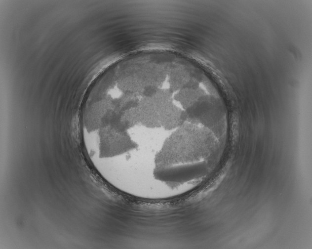 X0000110321121200907021156