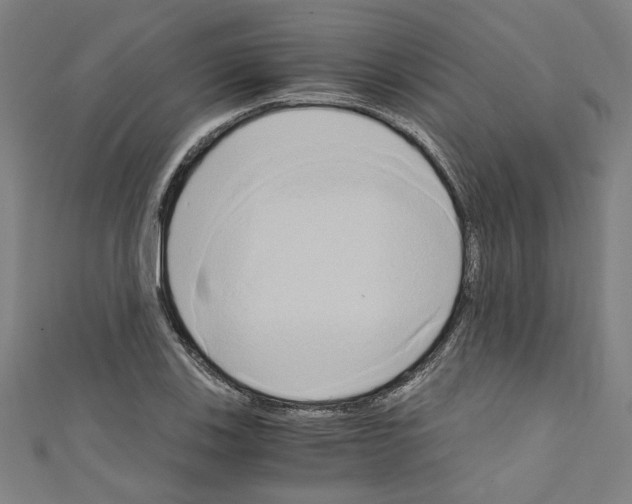 X0000110321123200907021156