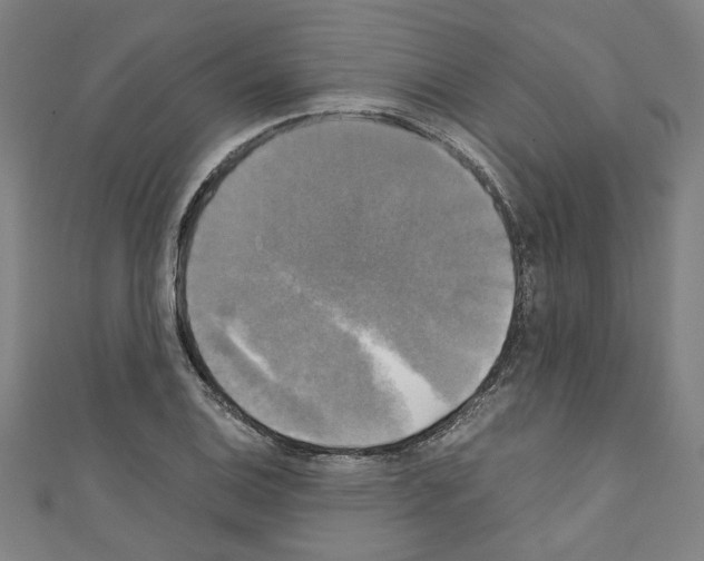 X0000110321124200907021156