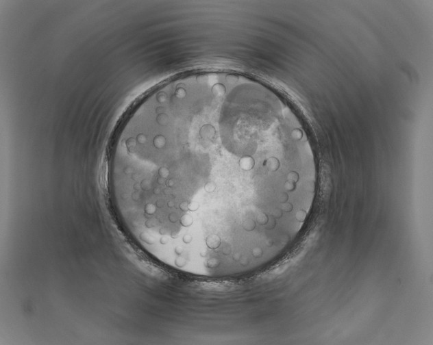 X0000110321125200907021156