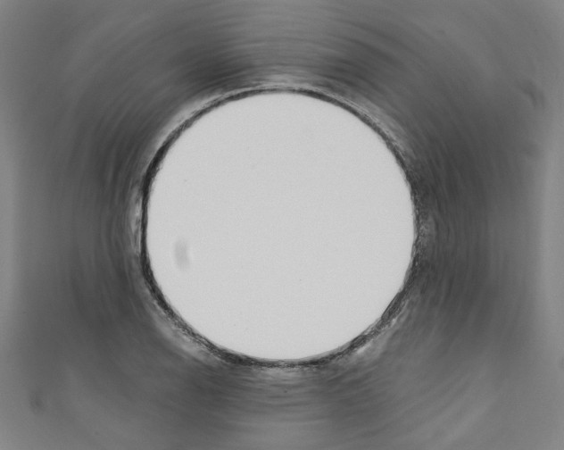 X0000110321126200907021156