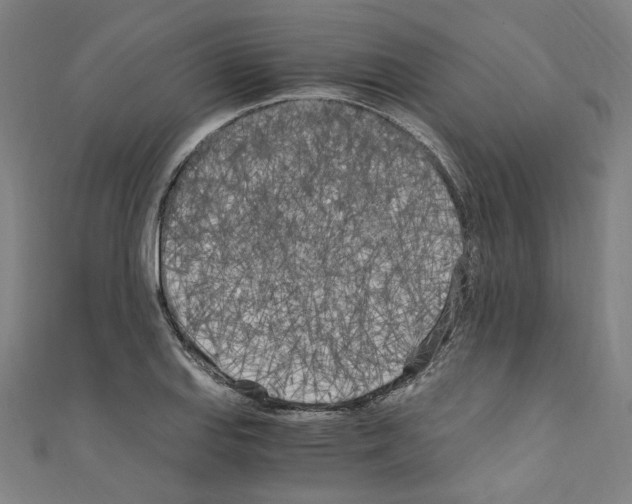 X0000110321127200907021156