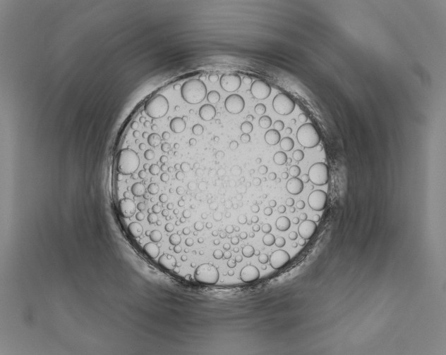 X0000110321130200907021156