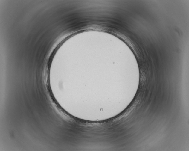 X0000110321131200907021156