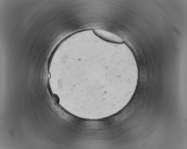 X0000110321132200907021156