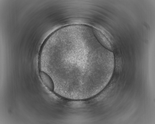 X0000110321134200907021156