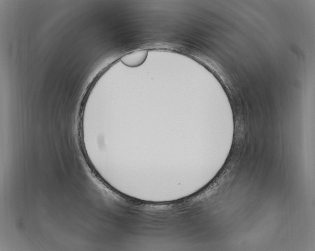 X0000110321135200907021156