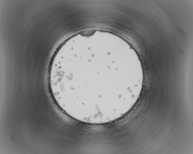 X0000110321136200907021156