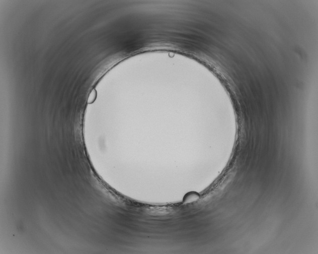 X0000110321137200907021156