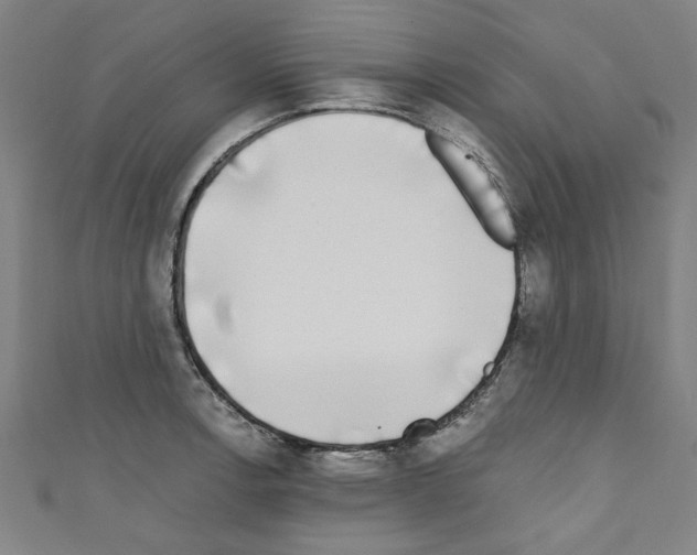 X0000110321138200907021156