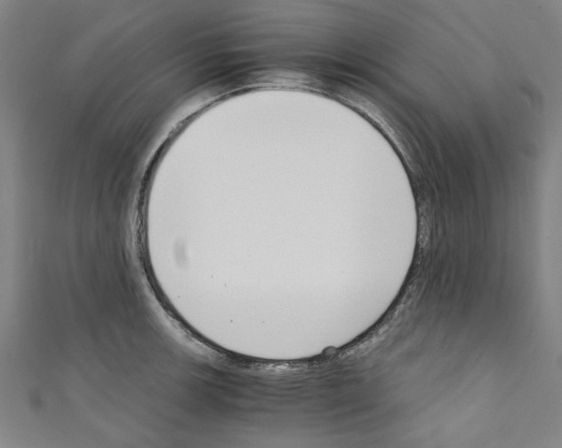 X0000110321139200907021156