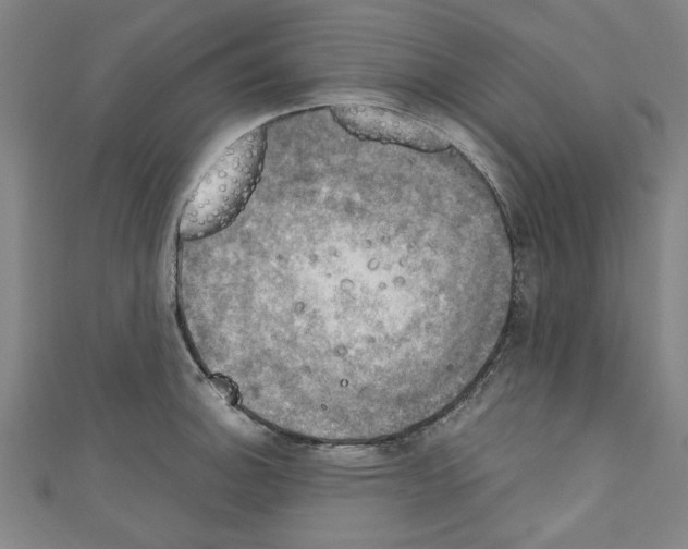 X0000110321140200907021156