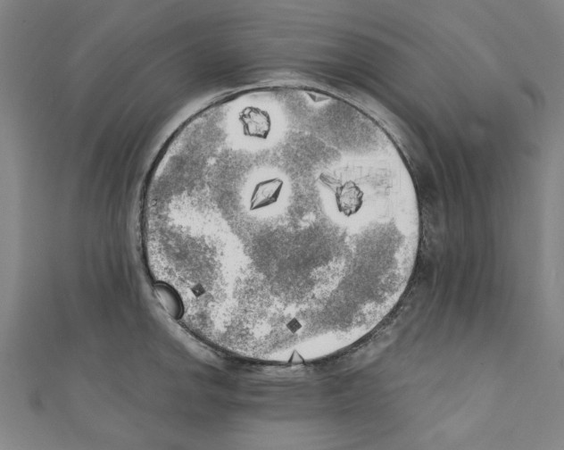 X0000110321142200907021156