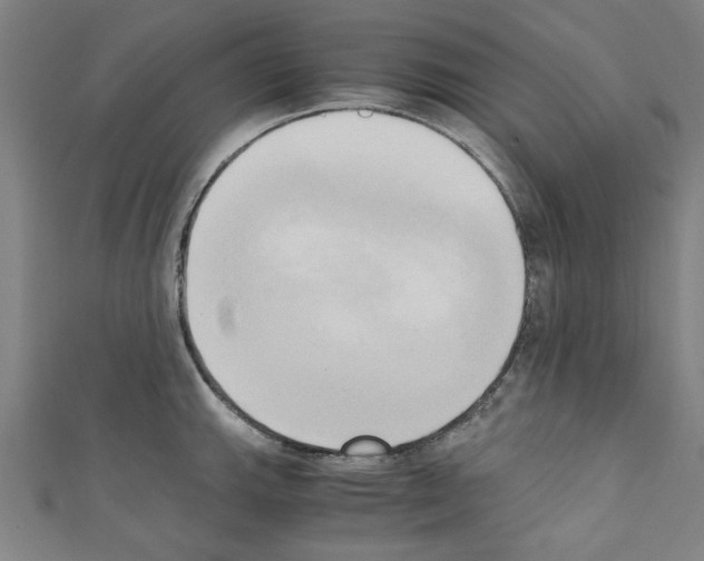 X0000110321143200907021156