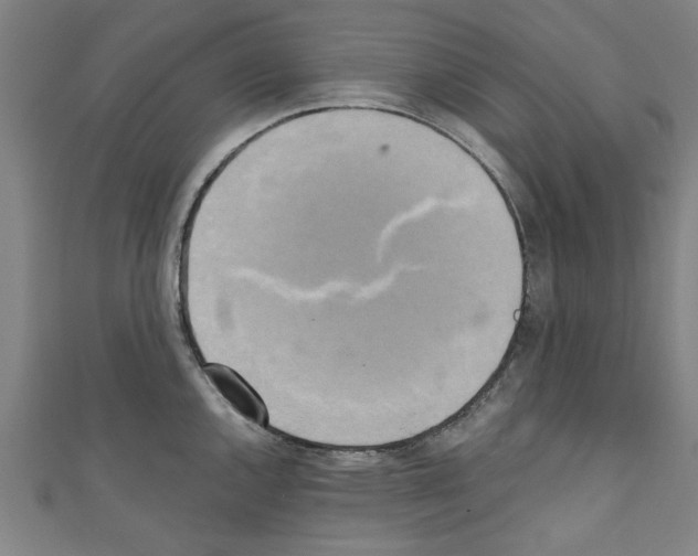 X0000110321144200907021156