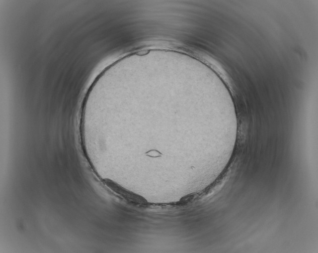 X0000110321146200907021156