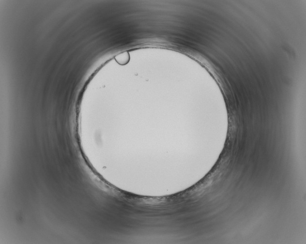 X0000110321147200907021156