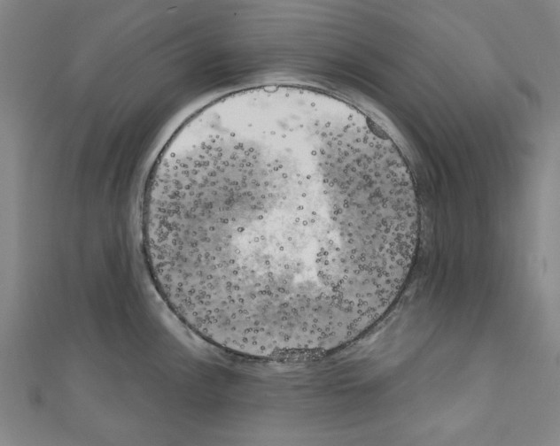 X0000110321148200907021156