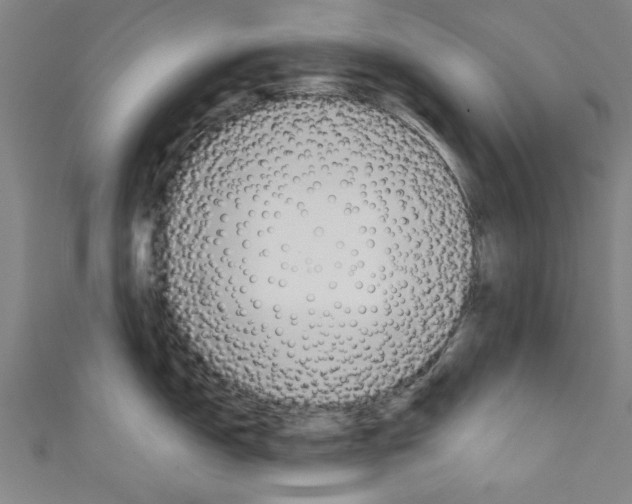 X0000110321150200907021156