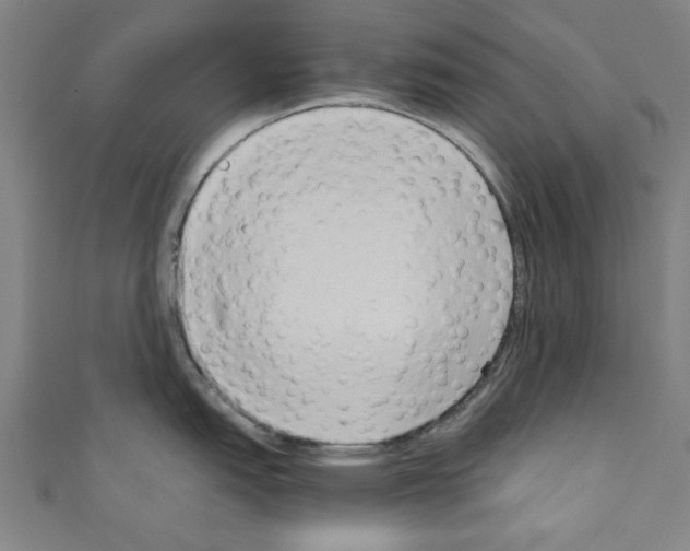 X0000110321151200907021156