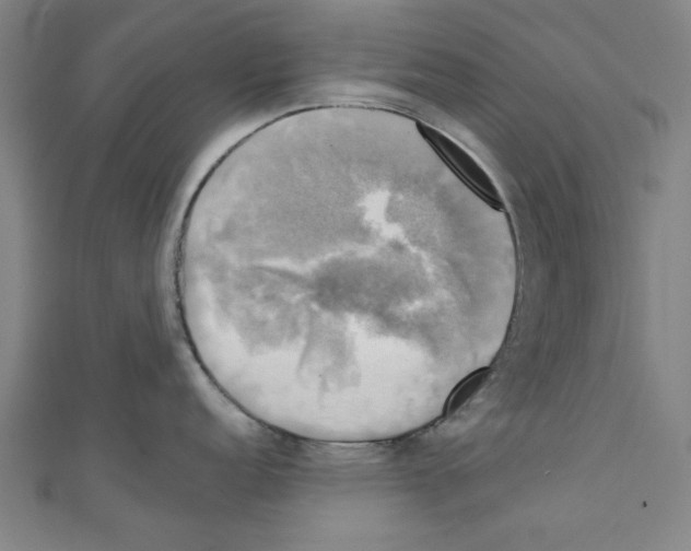 X0000110321152200907021156