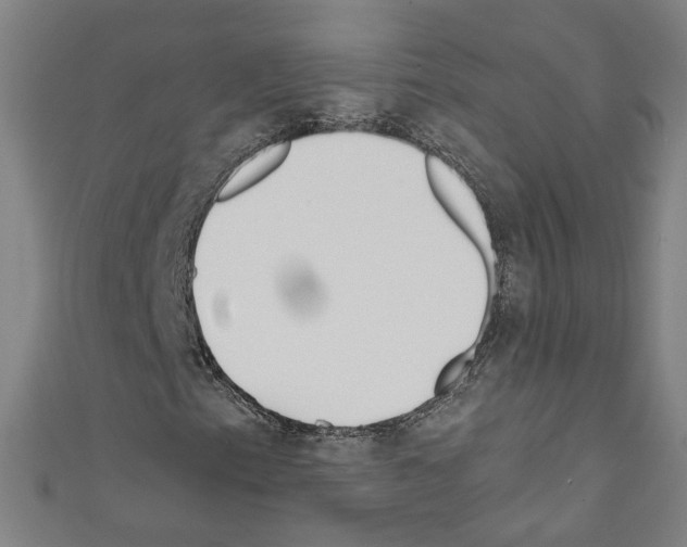 X0000110321153200907021155