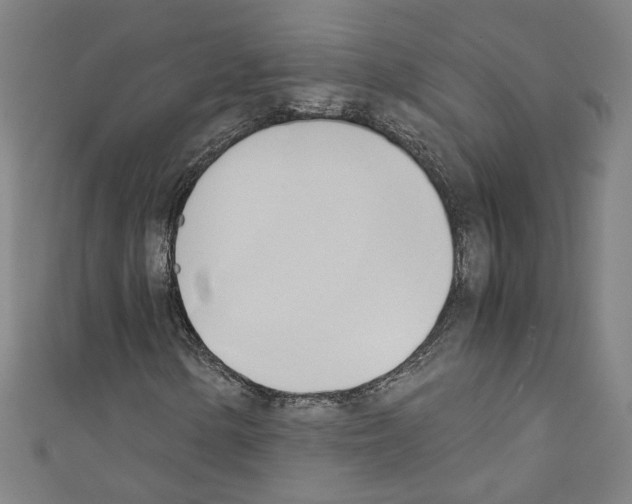 X0000110321154200907021155