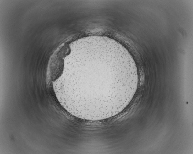 X0000110321156200907021155