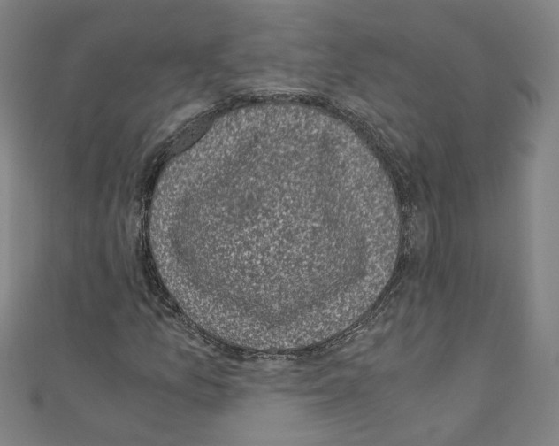 X0000110321157200907021155