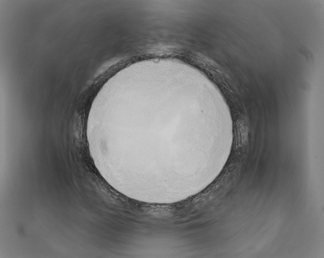 X0000110321158200907021155