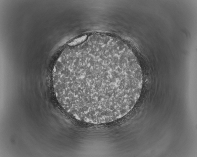 X0000110321159200907021155