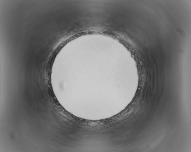 X0000110321160200907021155