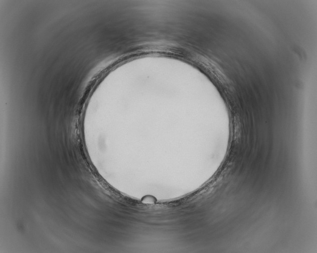 X0000110321164200907021155