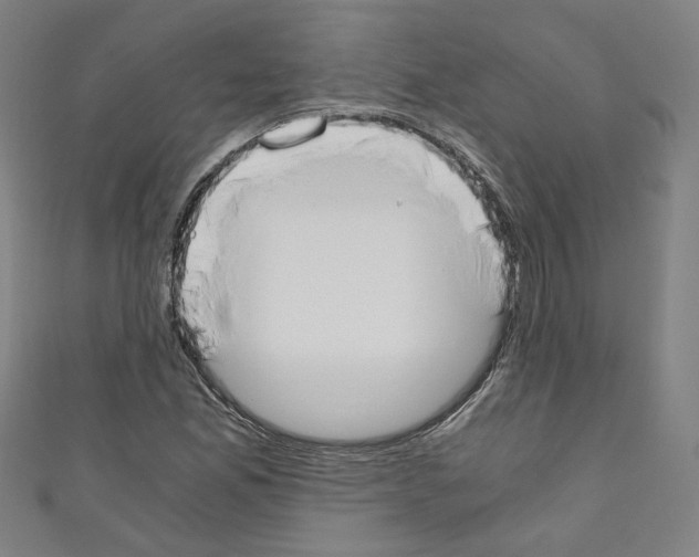 X0000110321165200907021155