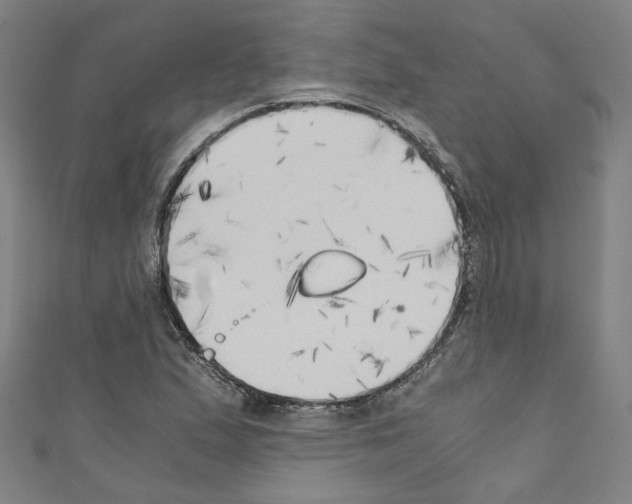 X0000110321167200907021155