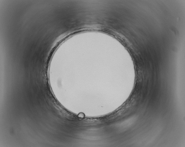 X0000110321168200907021155