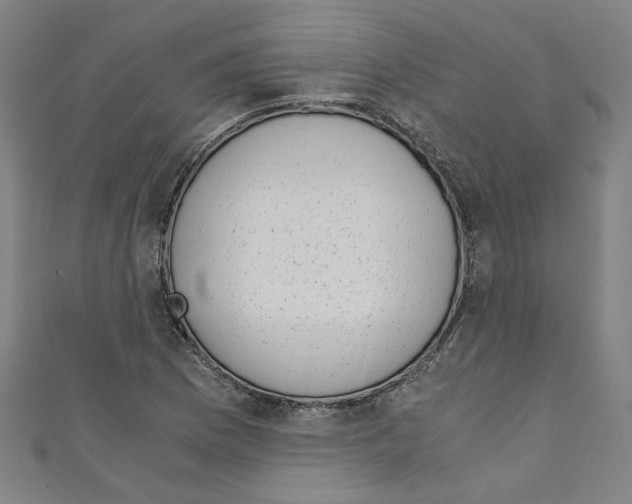 X0000110321169200907021155