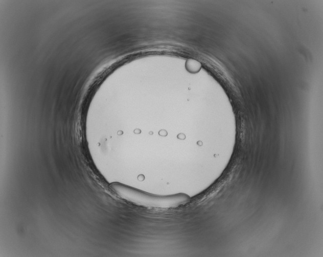 X0000110321172200907021155