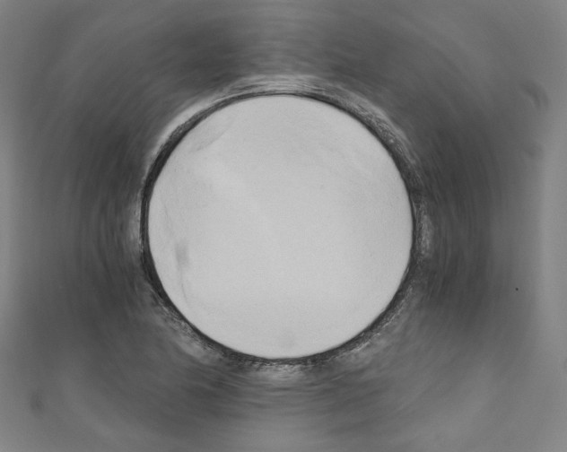 X0000110321174200907021155