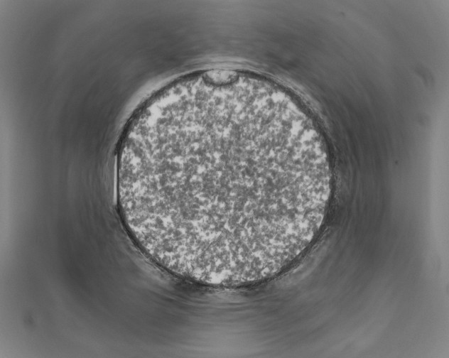 X0000110321175200907021155