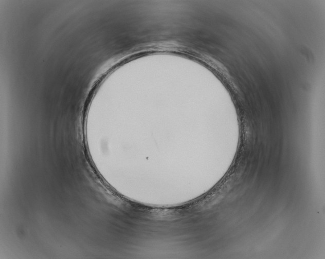 X0000110321176200907021155