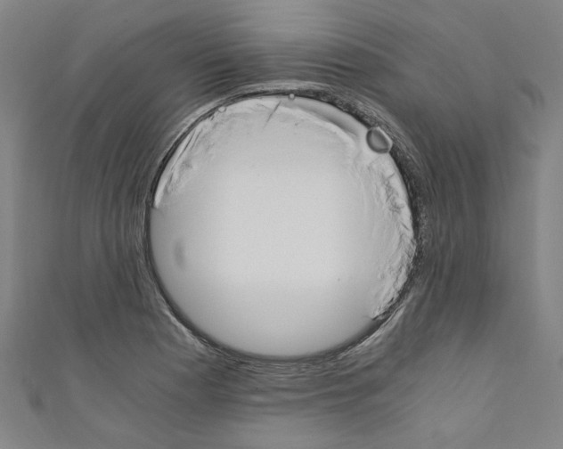 X0000110321177200907021155