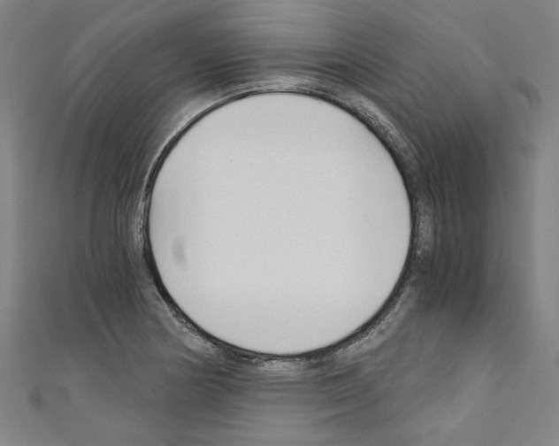 X0000110321178200907021155