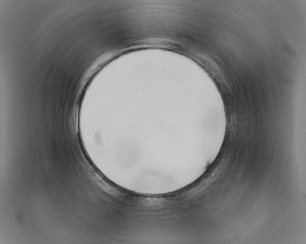 X0000110321180200907021155