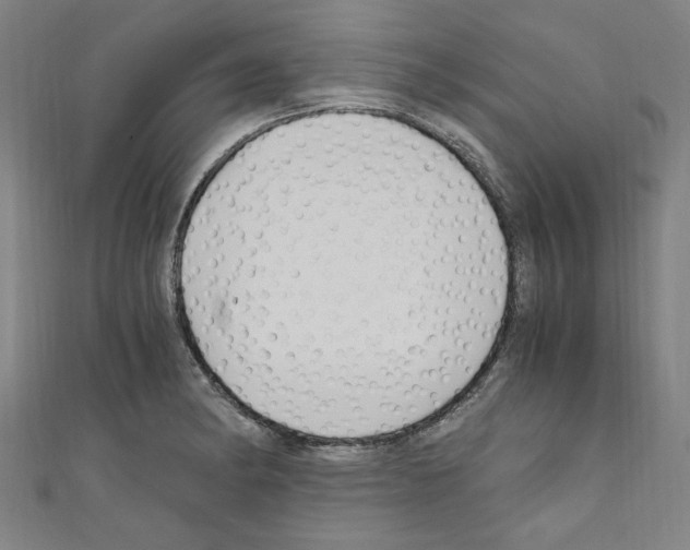 X0000110321182200907021155