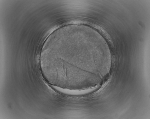 X0000110321185200907021155