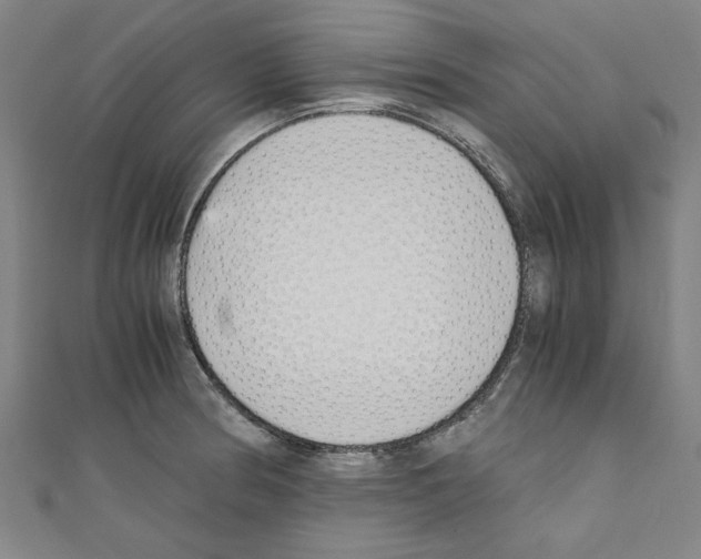 X0000110321186200907021155