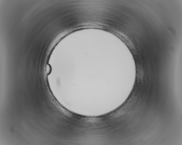 X0000110321188200907021155