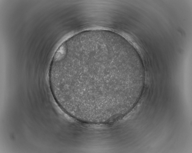 X0000110321189200907021155